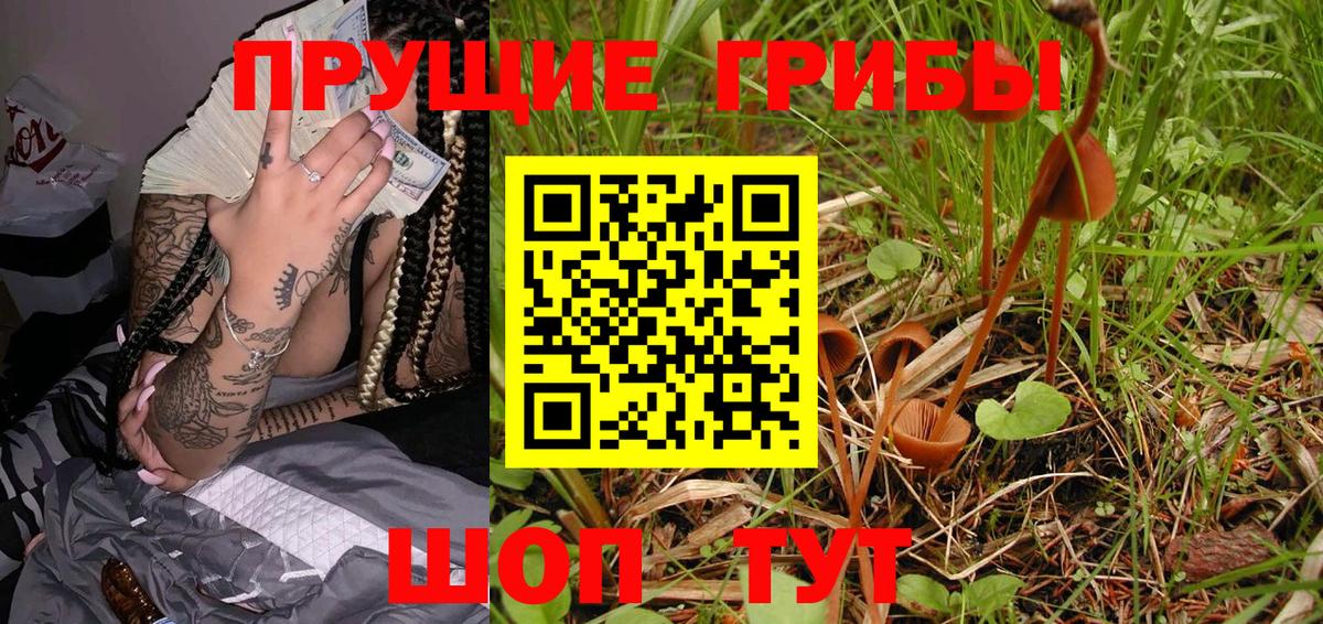 Галлюциногенные грибы ЛСД  Псилоцибиновые грибы GOLDEN TEACHER  Котлас  закладки  Вход с VPN 